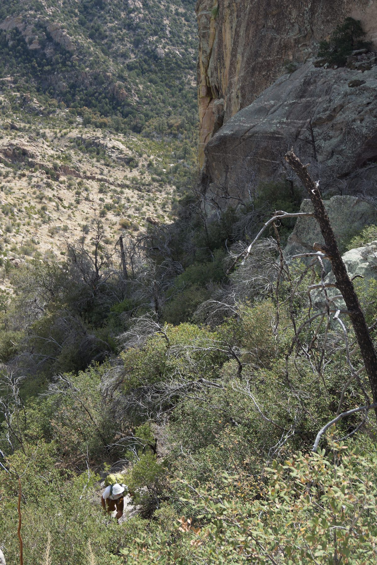 2013 April Steep Hillside up to Airmen Peak