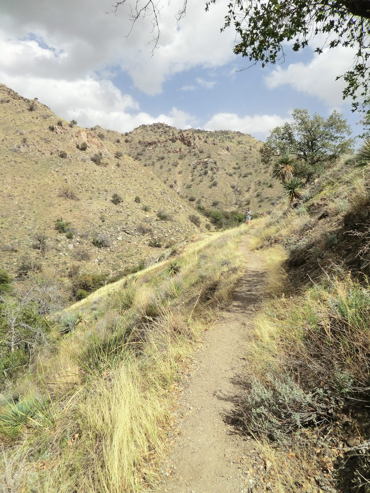 2013 April Traci on the East Fork Trail
