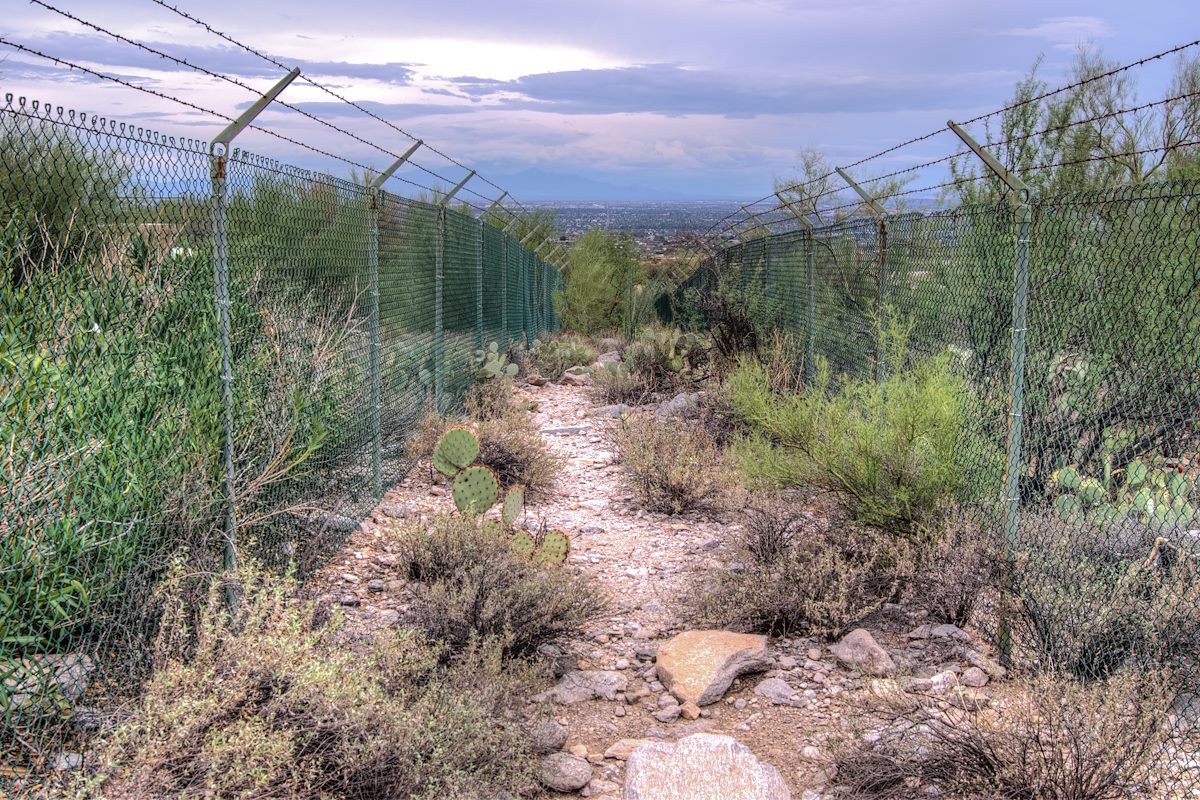 2013 August Access Path North of Campbell