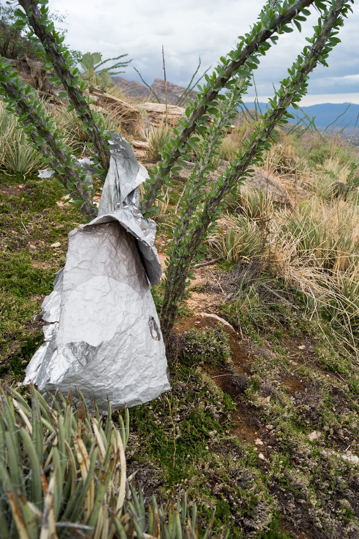 2013 August Balloon below Rosewood Point