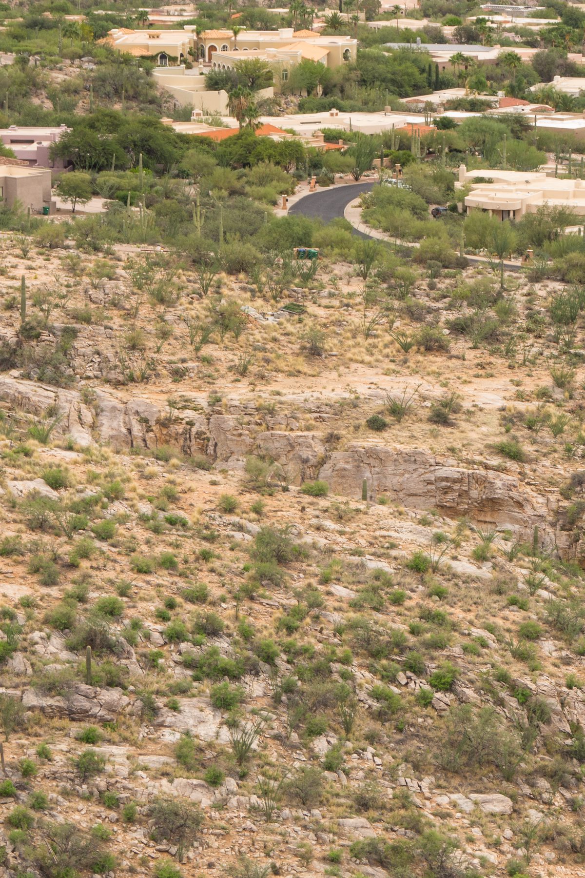 2013 August Campbell Cliffs