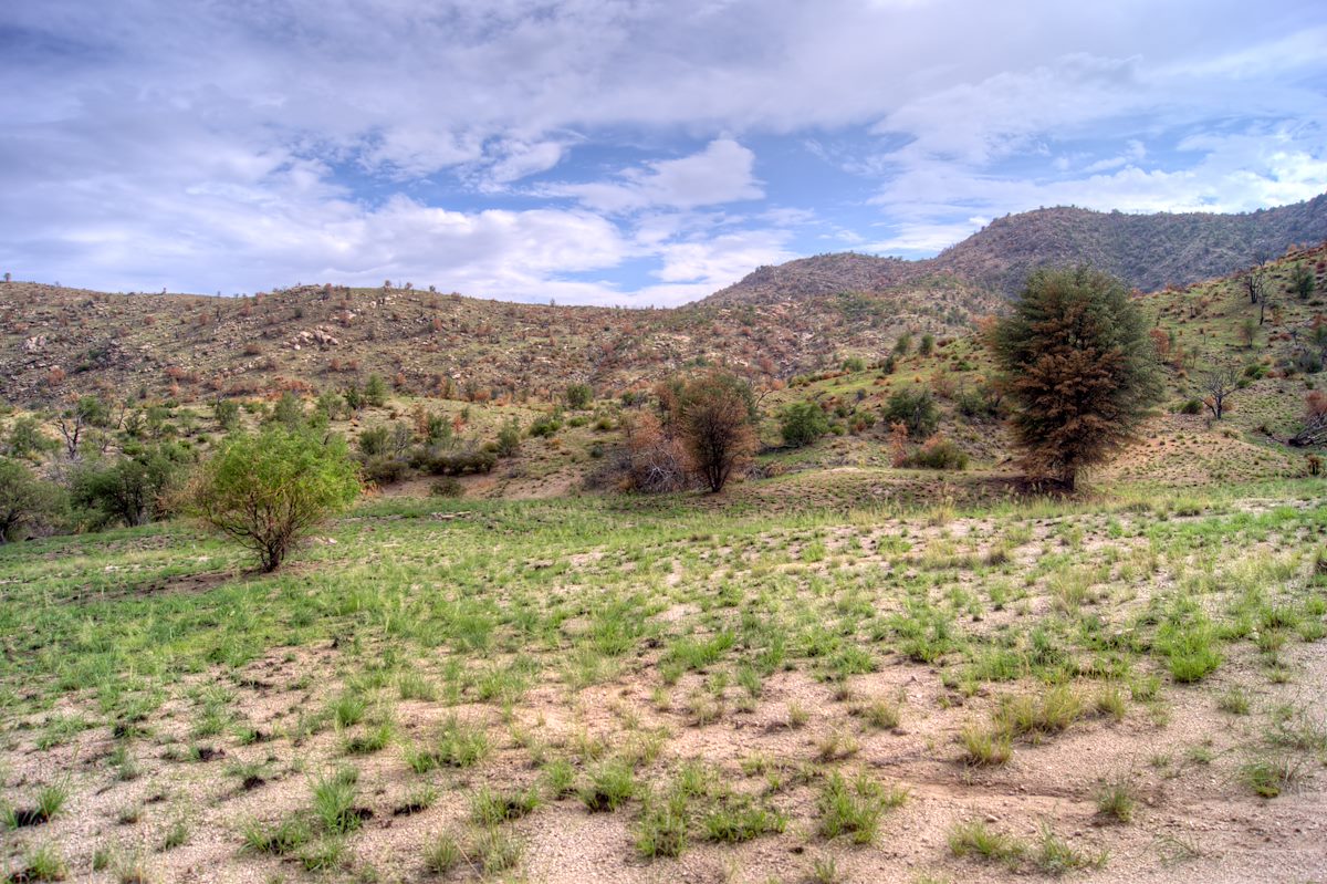 2013 August Cleared by Fire