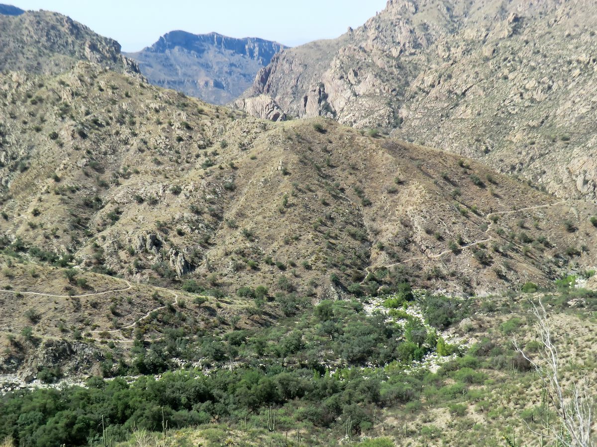 2013 August East Fork, Sabino Canyon Trail