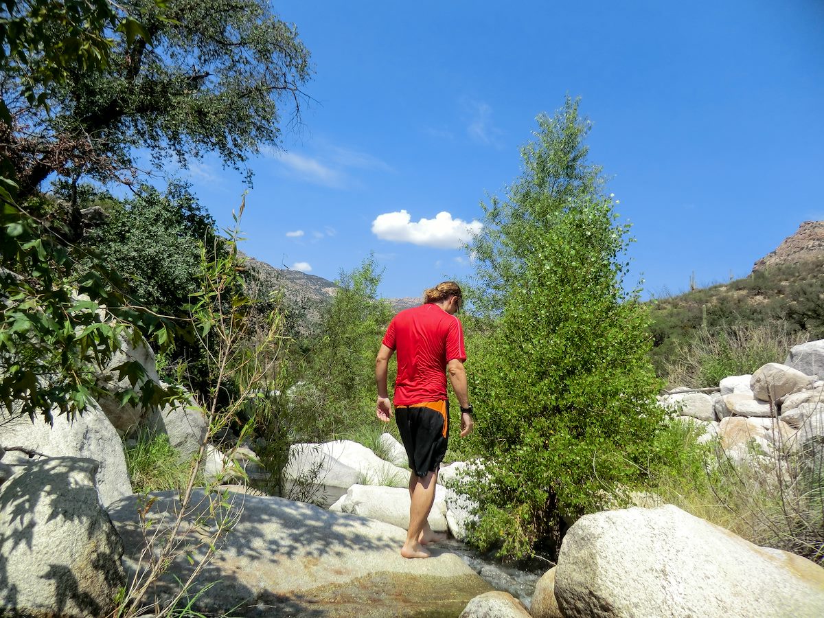 2013 August In Sabino Canyon