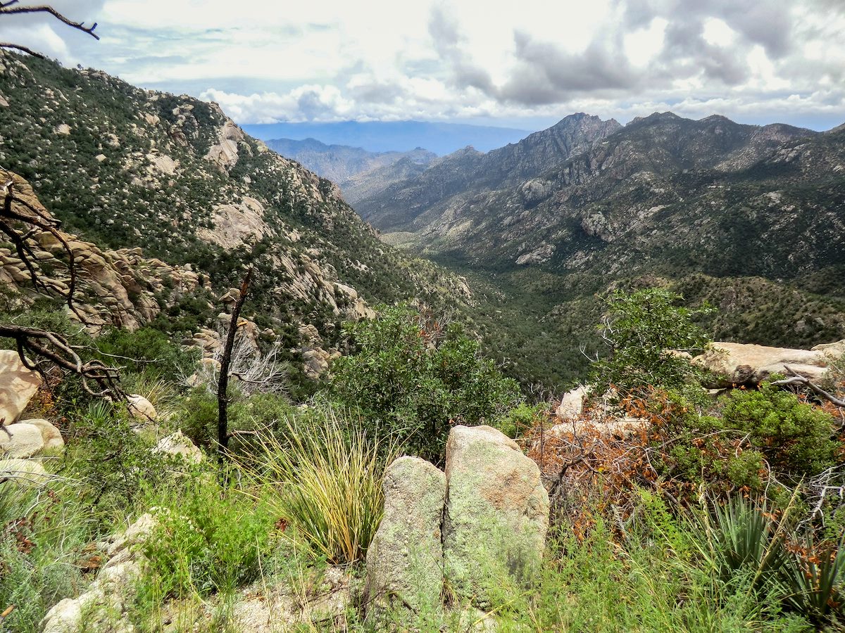 2013 August Looking Down Romero Canyon
