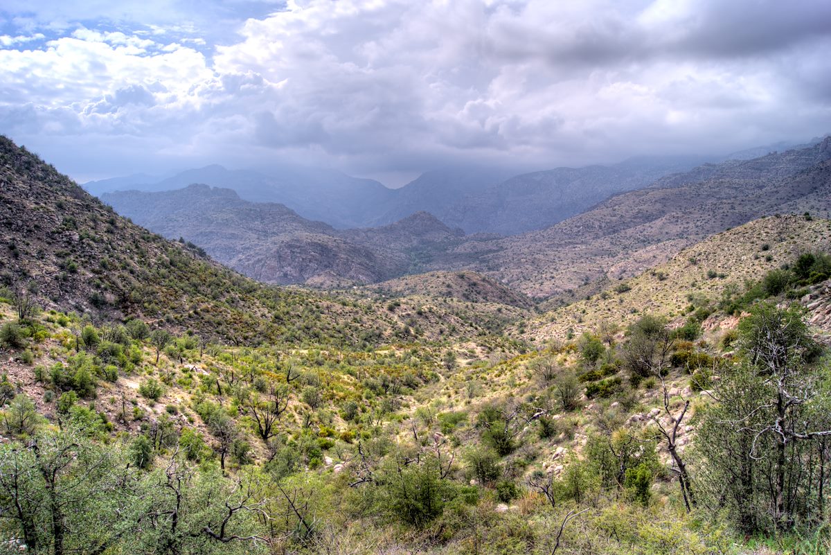 2013 August Looking Storms West of Shreve Saddle