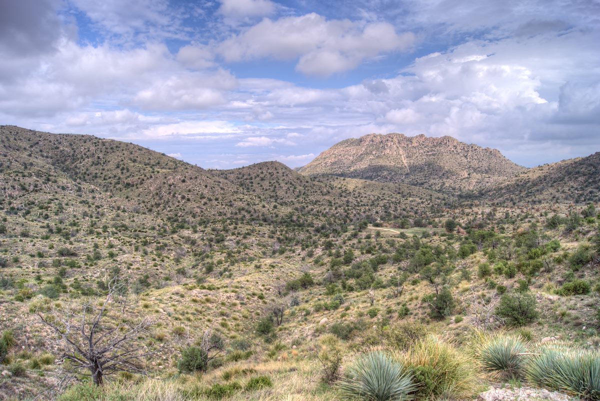 2013 August Looking towards Prison Camp from Shreve Saddle