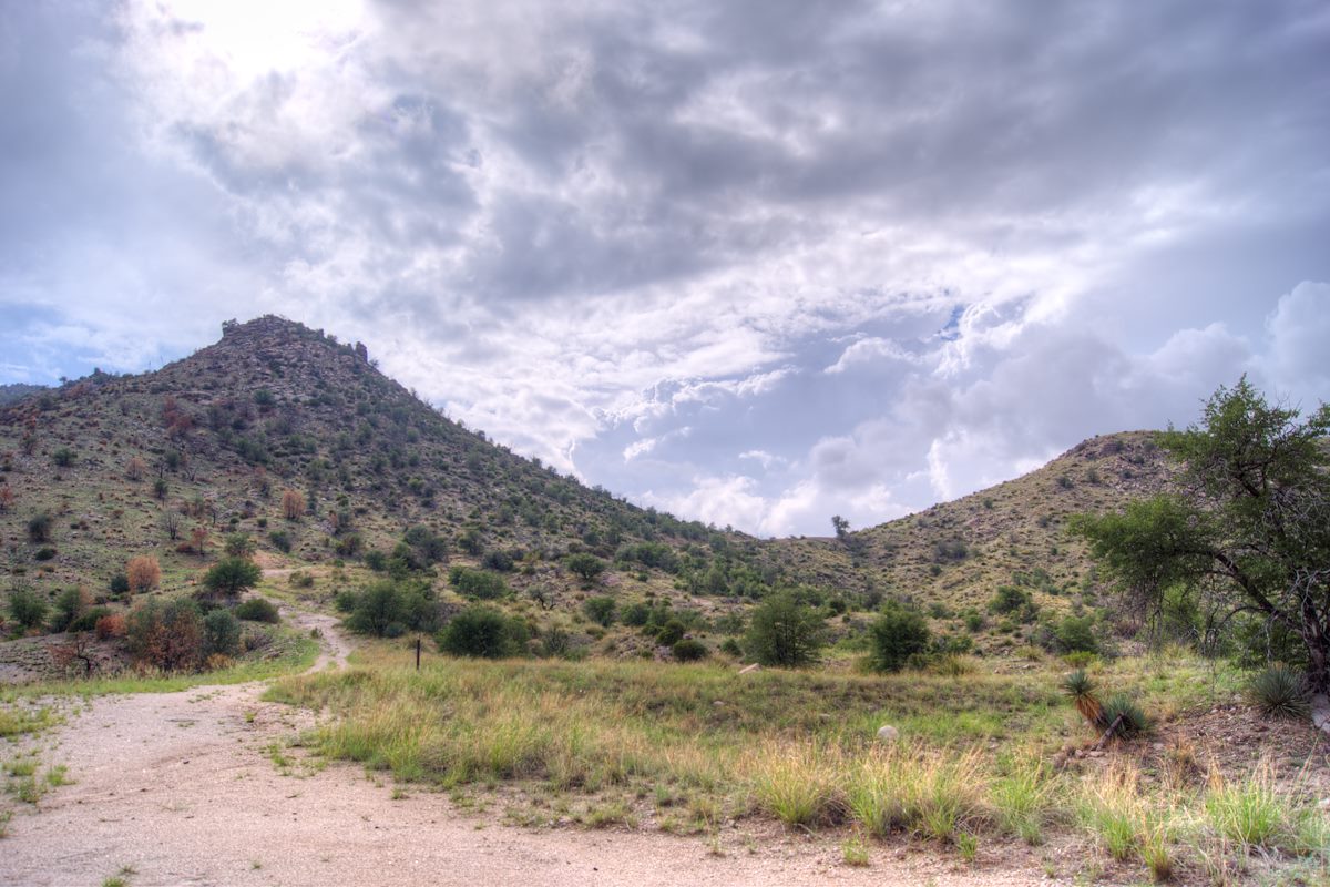 2013 August Looking up at Shreve Saddle from the Molino Basin Trail