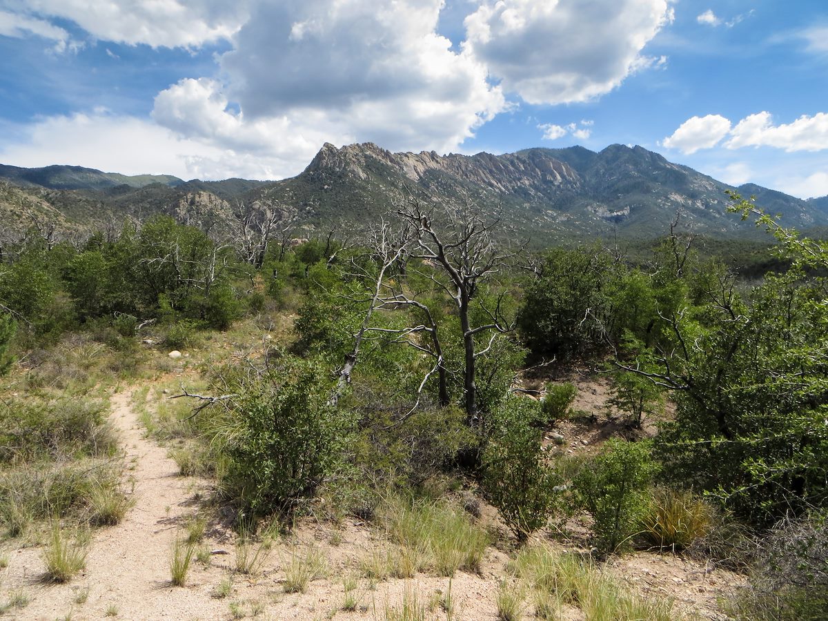 2013 August Looking up at the Reef of Rock from the Red Ridge Trail