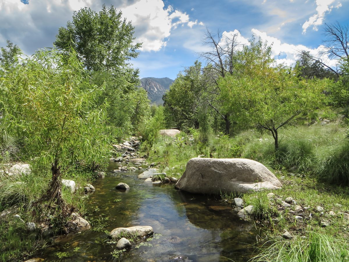 2013 August Looking up the Canada del Oro