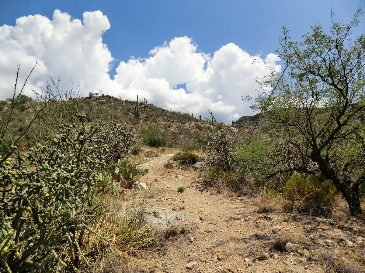 2013 August Low Section of Box Camp with Storms Building