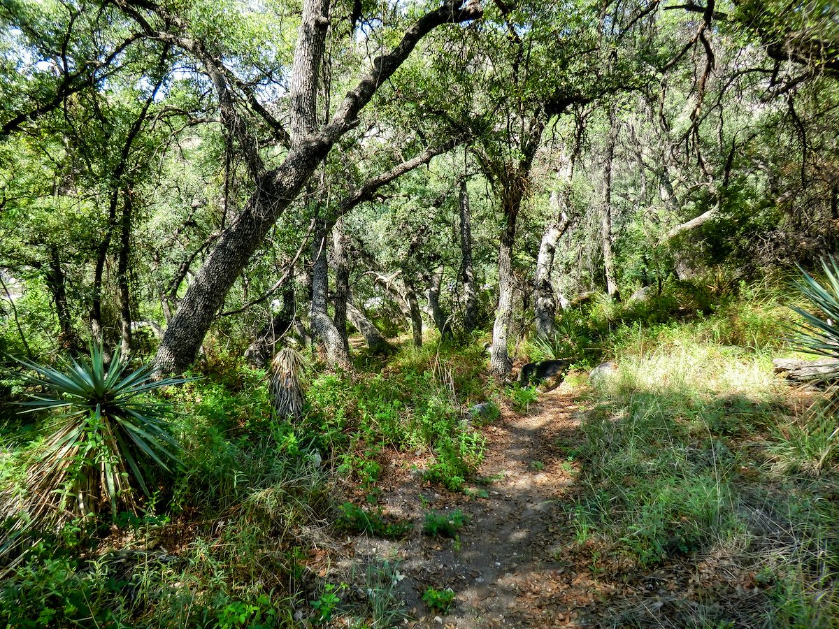 2013 August Near Sabino Canyon