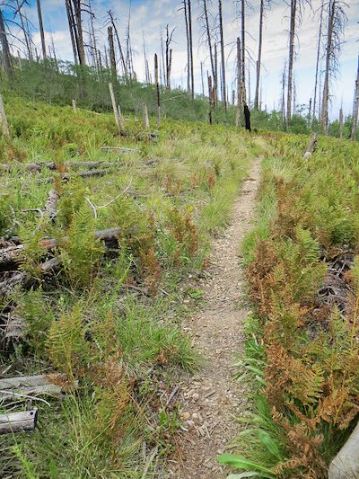2013 August Near the Start of the Red Ridge Trail