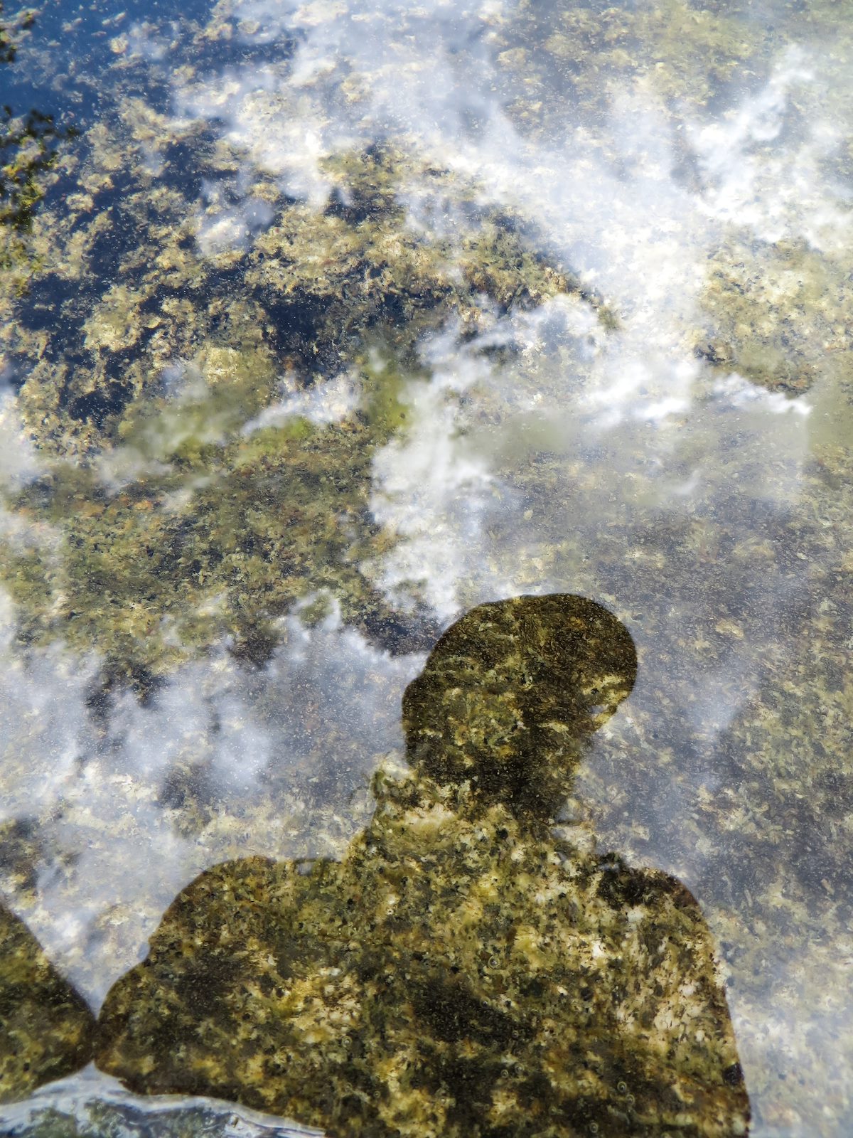 2013 August Reflections