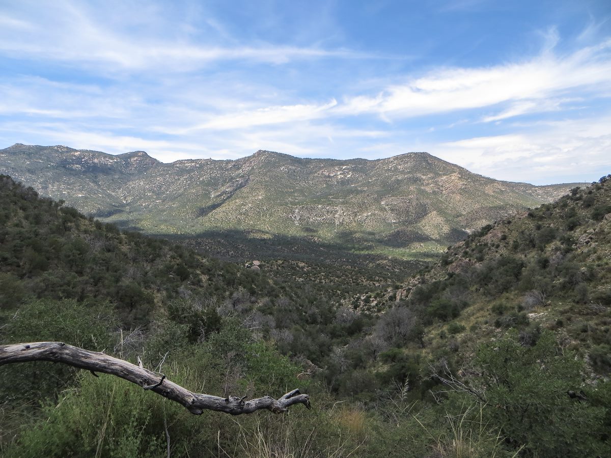 2013 August Samaniego Ridge from the Red Ridge Trail