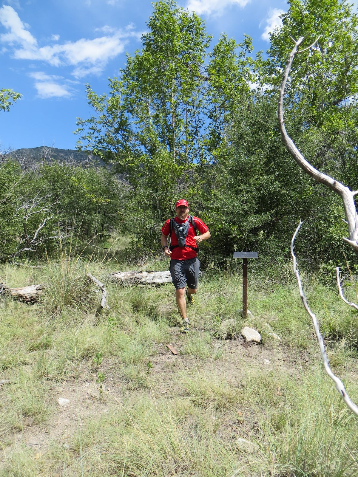 2013 August The Junction of the Red Ridge and Canada del Oro Trails