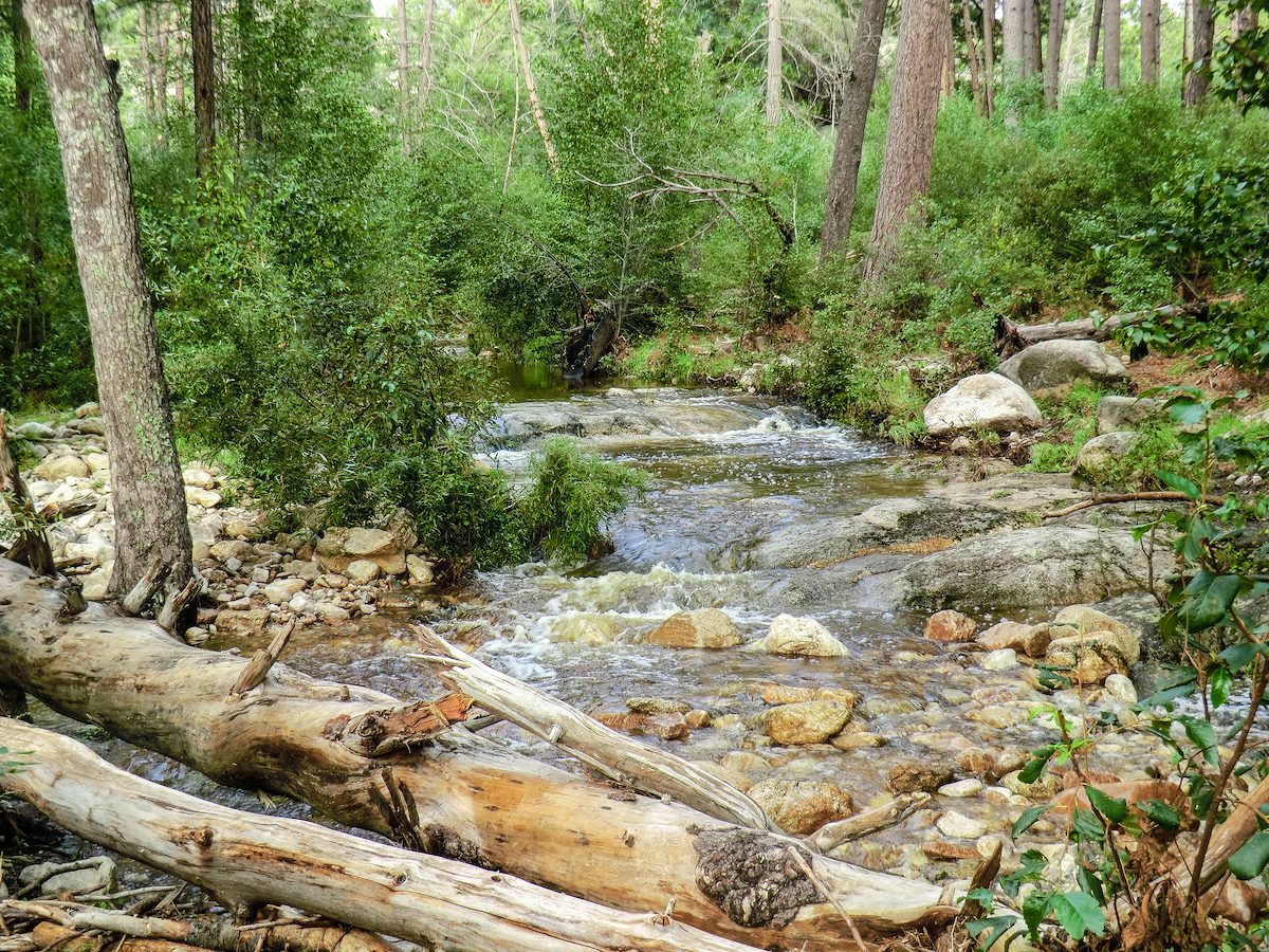 2013 August Water at a Wilderness of Rocks trail crossing
