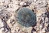 2013 December Agua Caliente Survey Marker