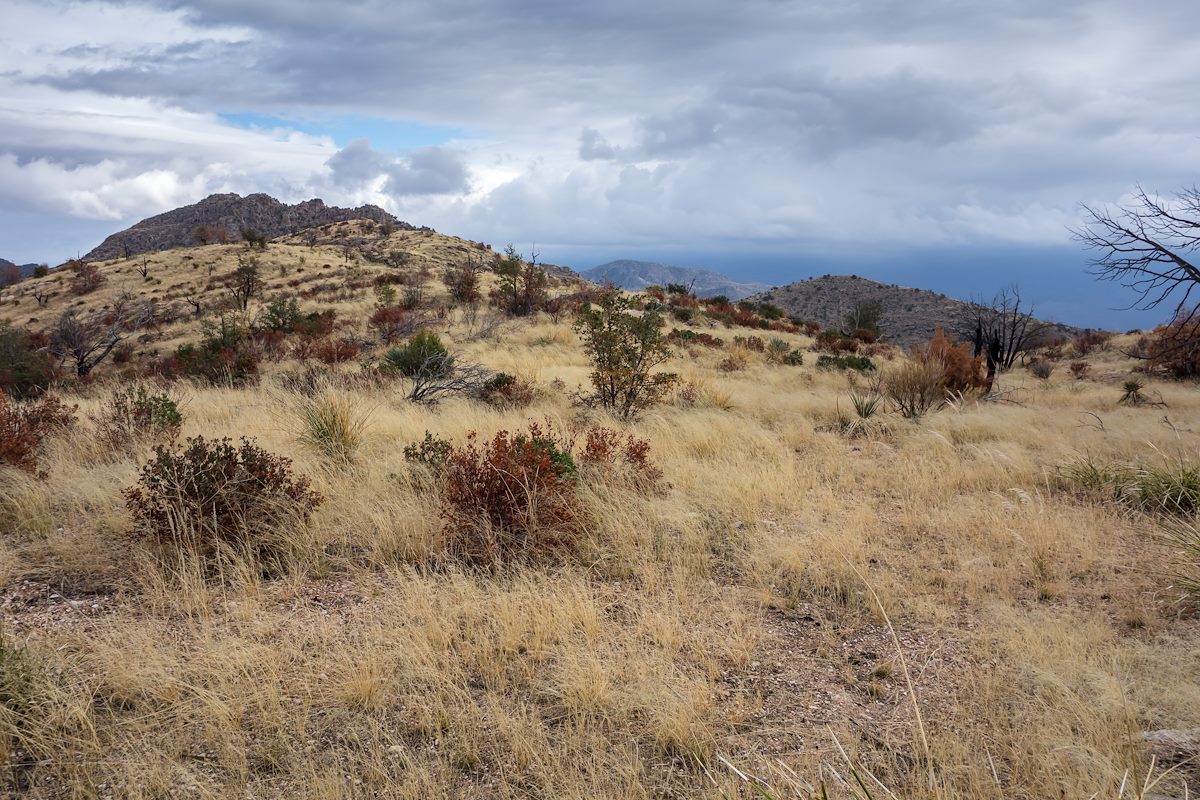 2013 December Along the trail to 4981