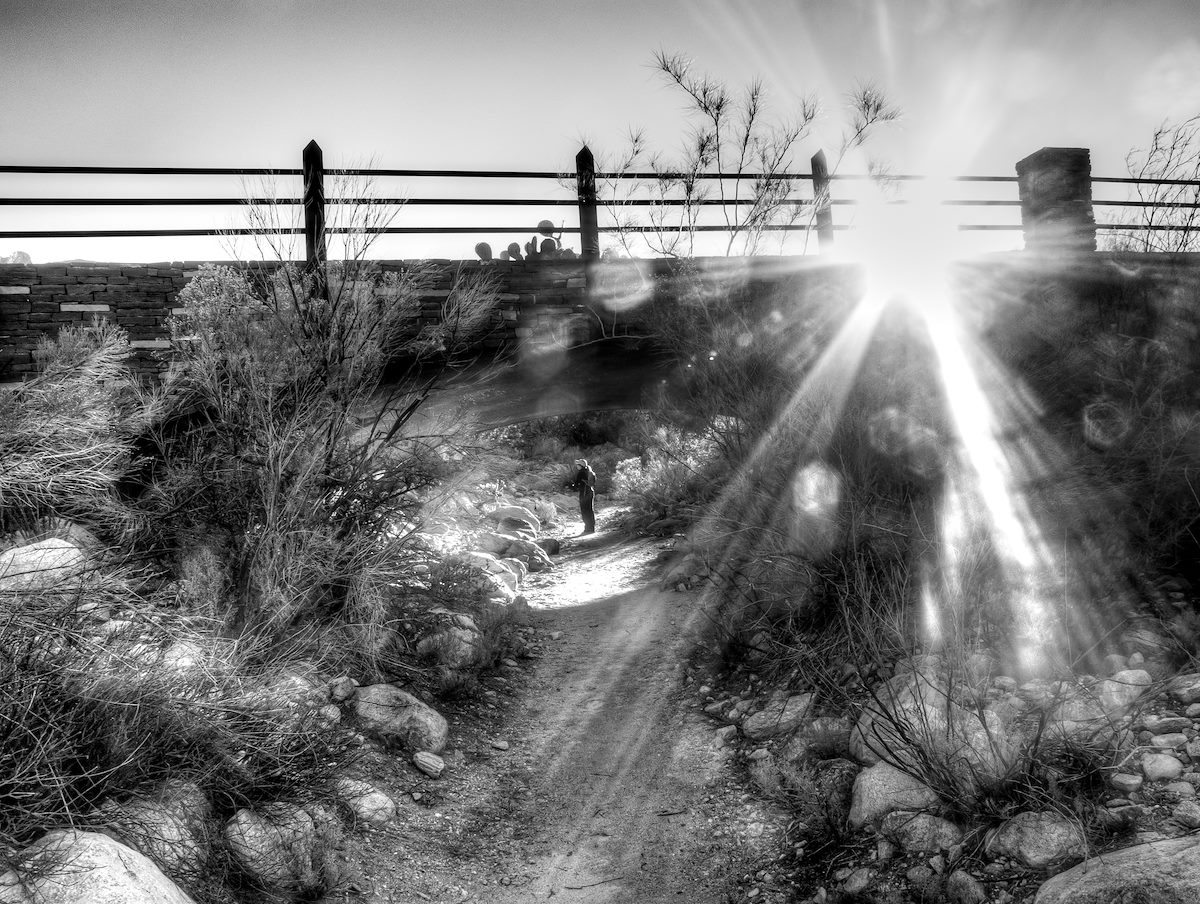 2013 December Bridge over Pima Canyon Trail