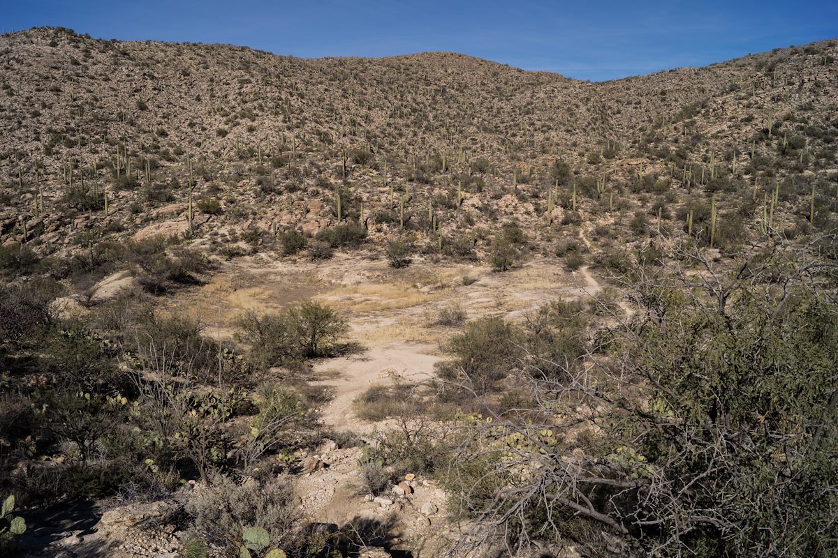 2013 December Cat Track Tank