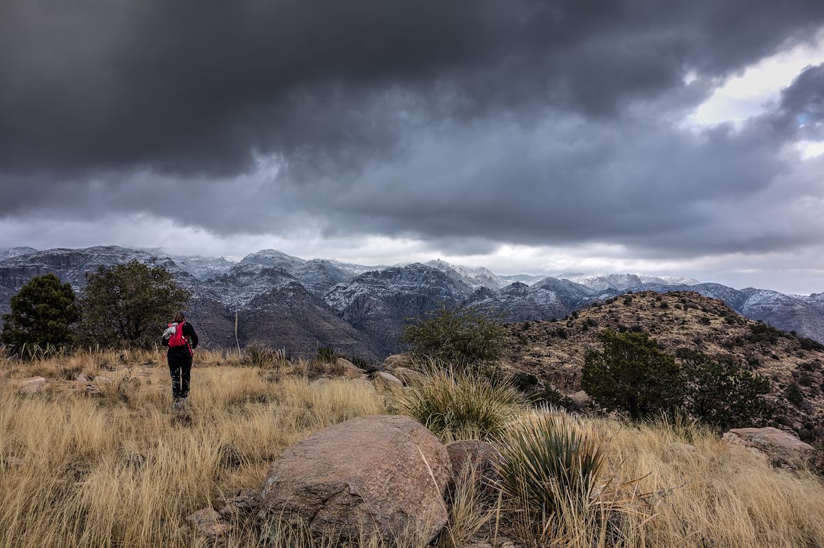 2013 December Gibbon Mountain with Snowy Mountains in the background