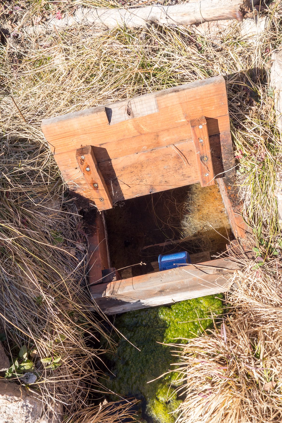 2013 December Mint Spring