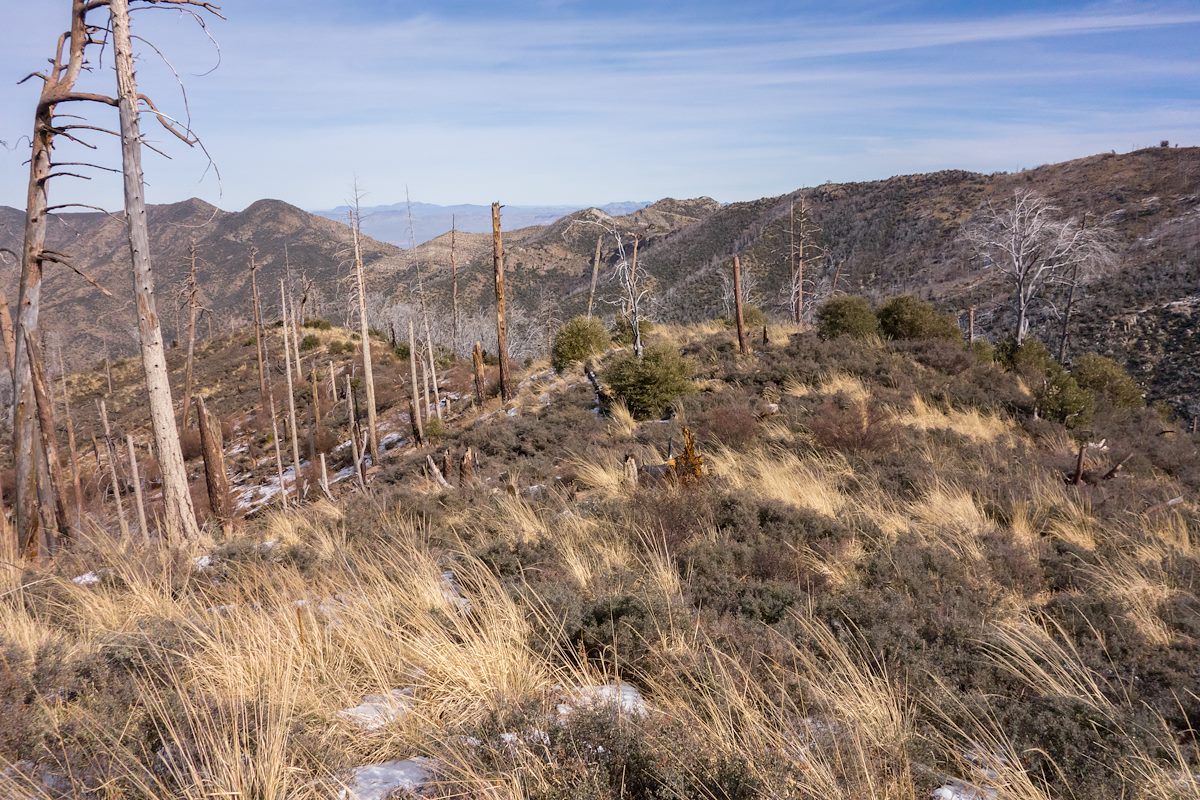 2013 December Red Ridge