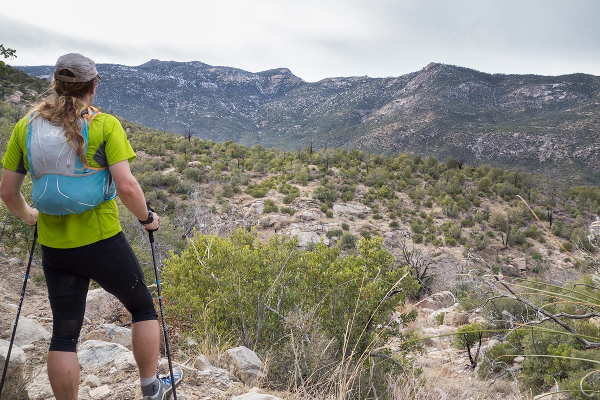 2013 December Samaniego Peak and Mule Ears from the Red Ridge Trail