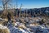 2013 December Snow on the Red Ridge Trail