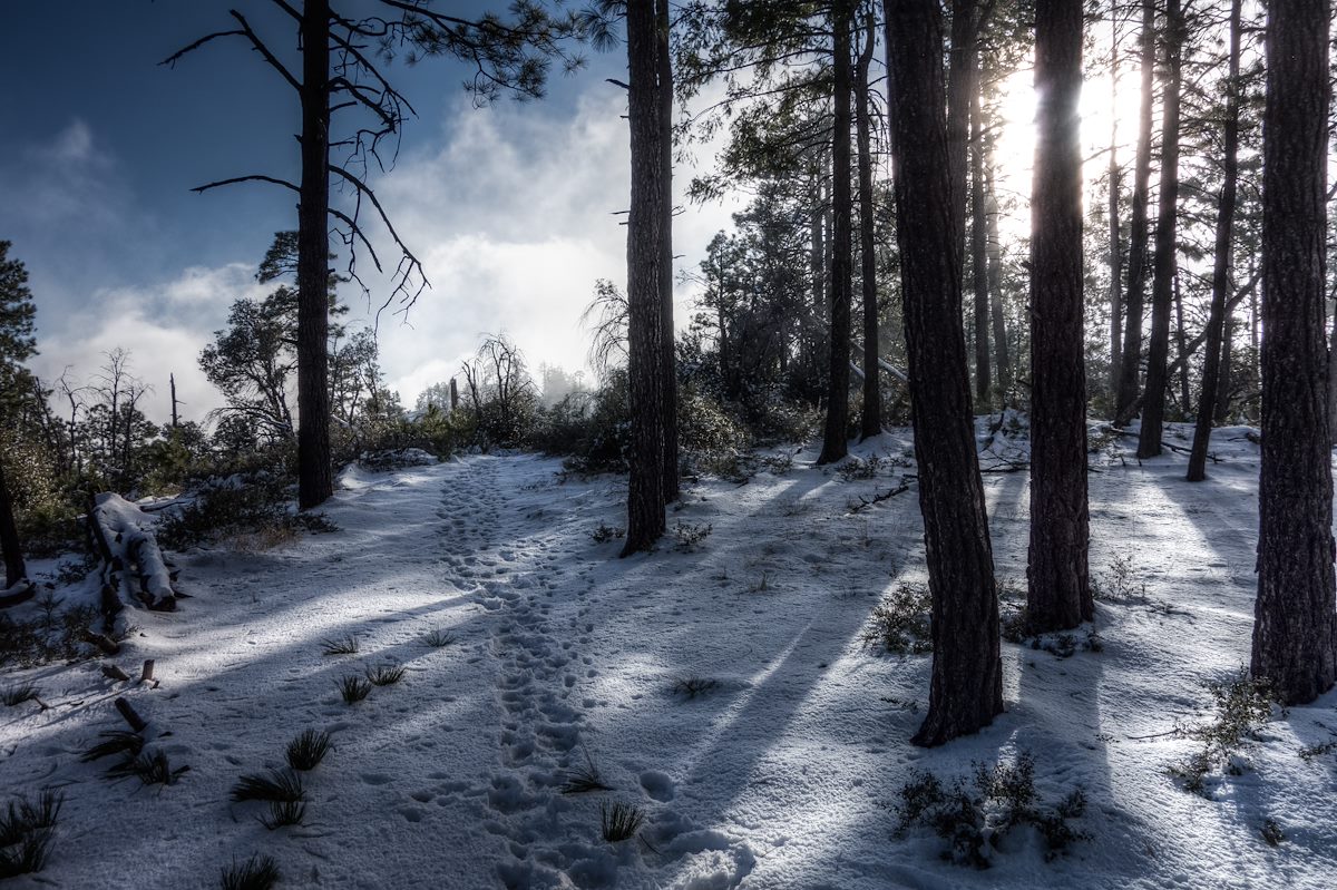 2013 December Snowy footprints on the Box Camp Trail