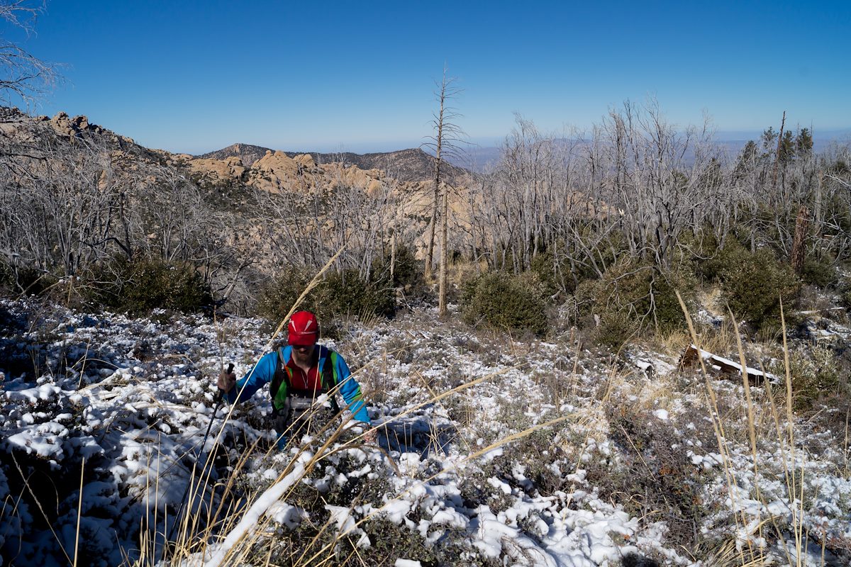2013 December Trail thru the bushes