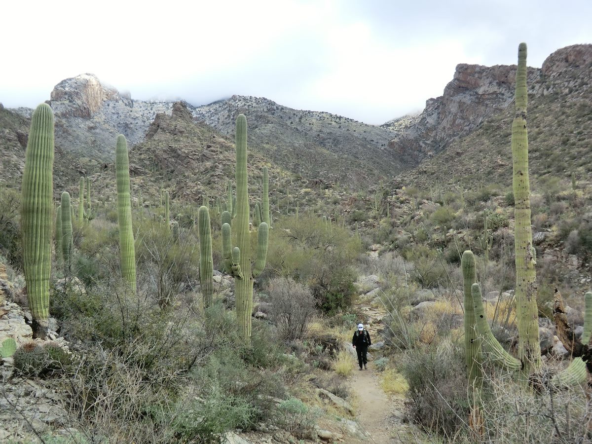 2013 February Alison on the Pontatoc Ridge Trail