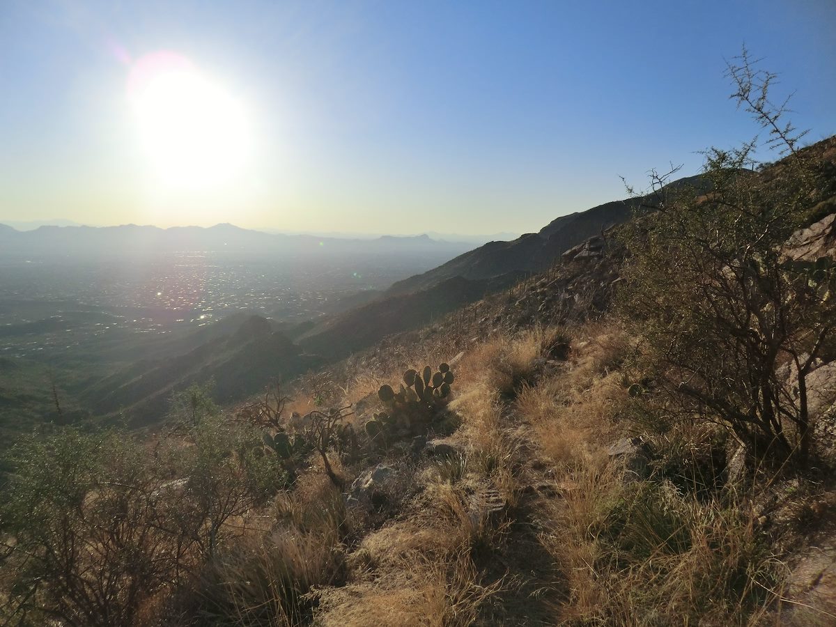 2013 February Ending the day on the Pontatoc Canyon Trail