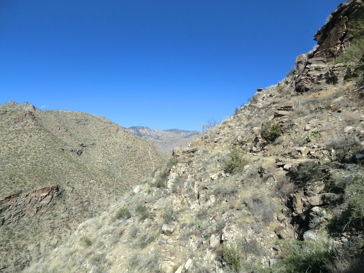 2013 February Richard in the Distance on the Phoneline Trail