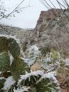 2013 February Snowy Prickly Pear and Pontatoc Cliffs