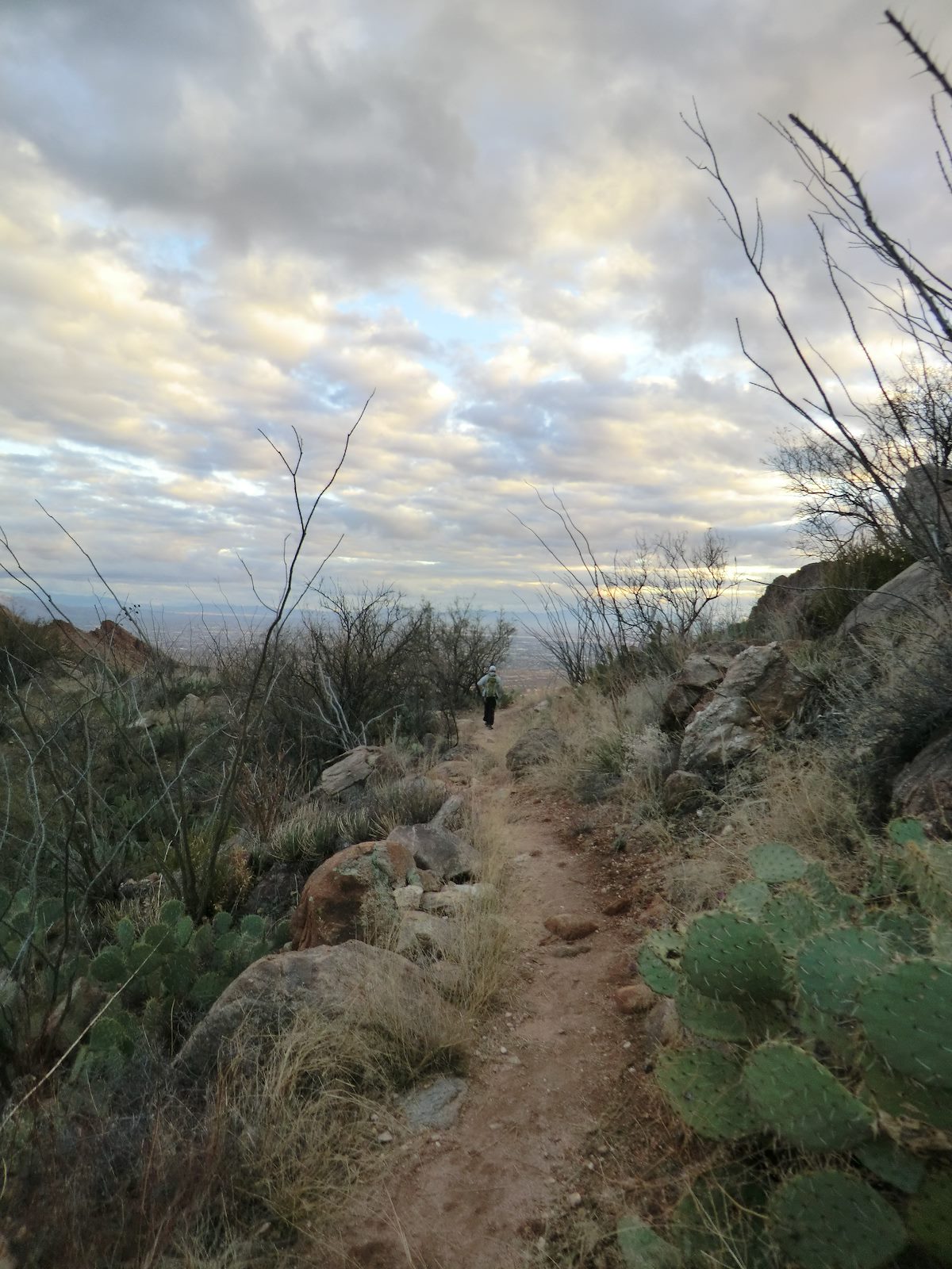 2013 January Evening on the Ventana Canyon Trail