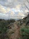 2013 January Evening on the Ventana Canyon Trail