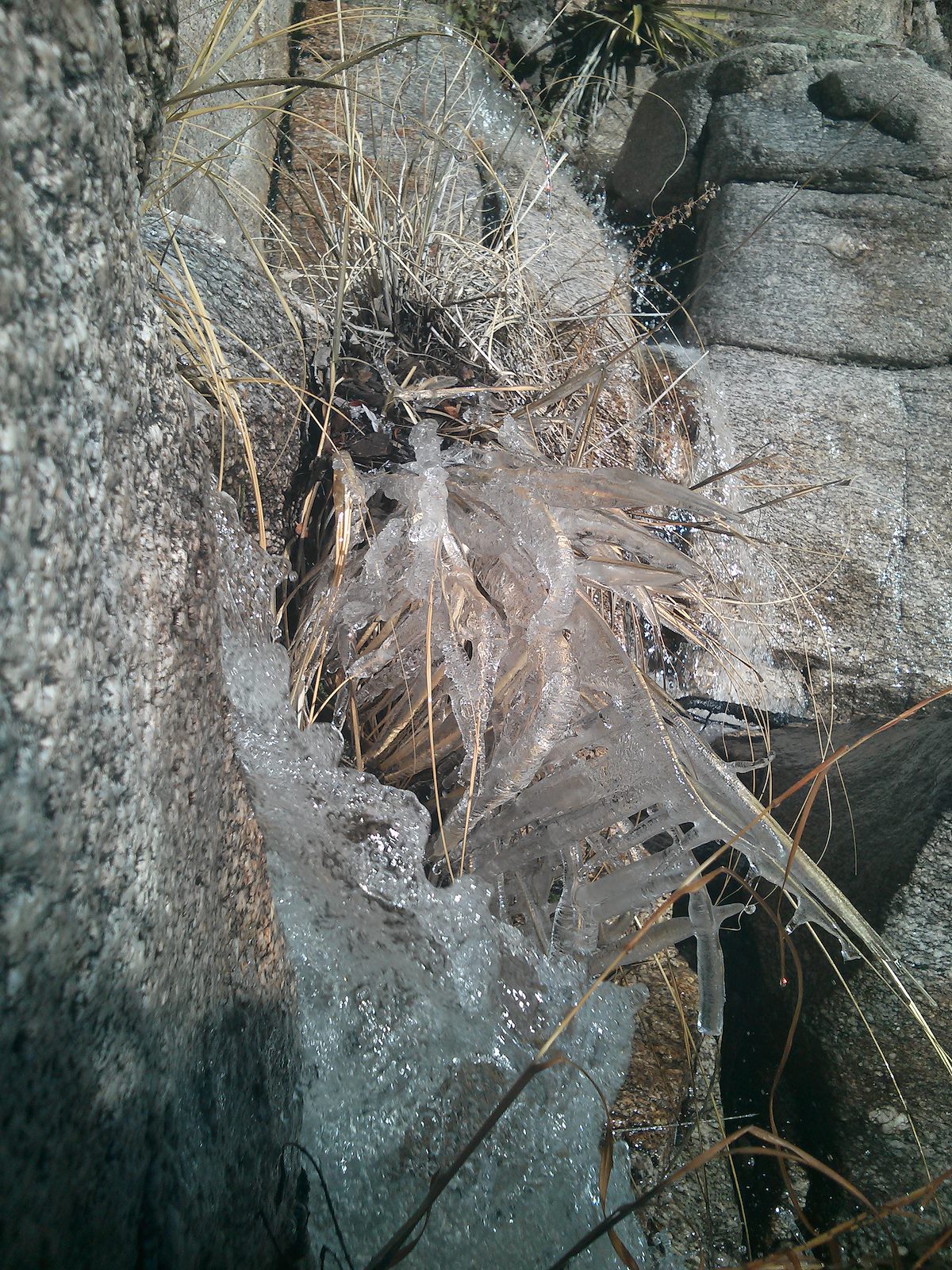 2013 January Flowing and Frozen