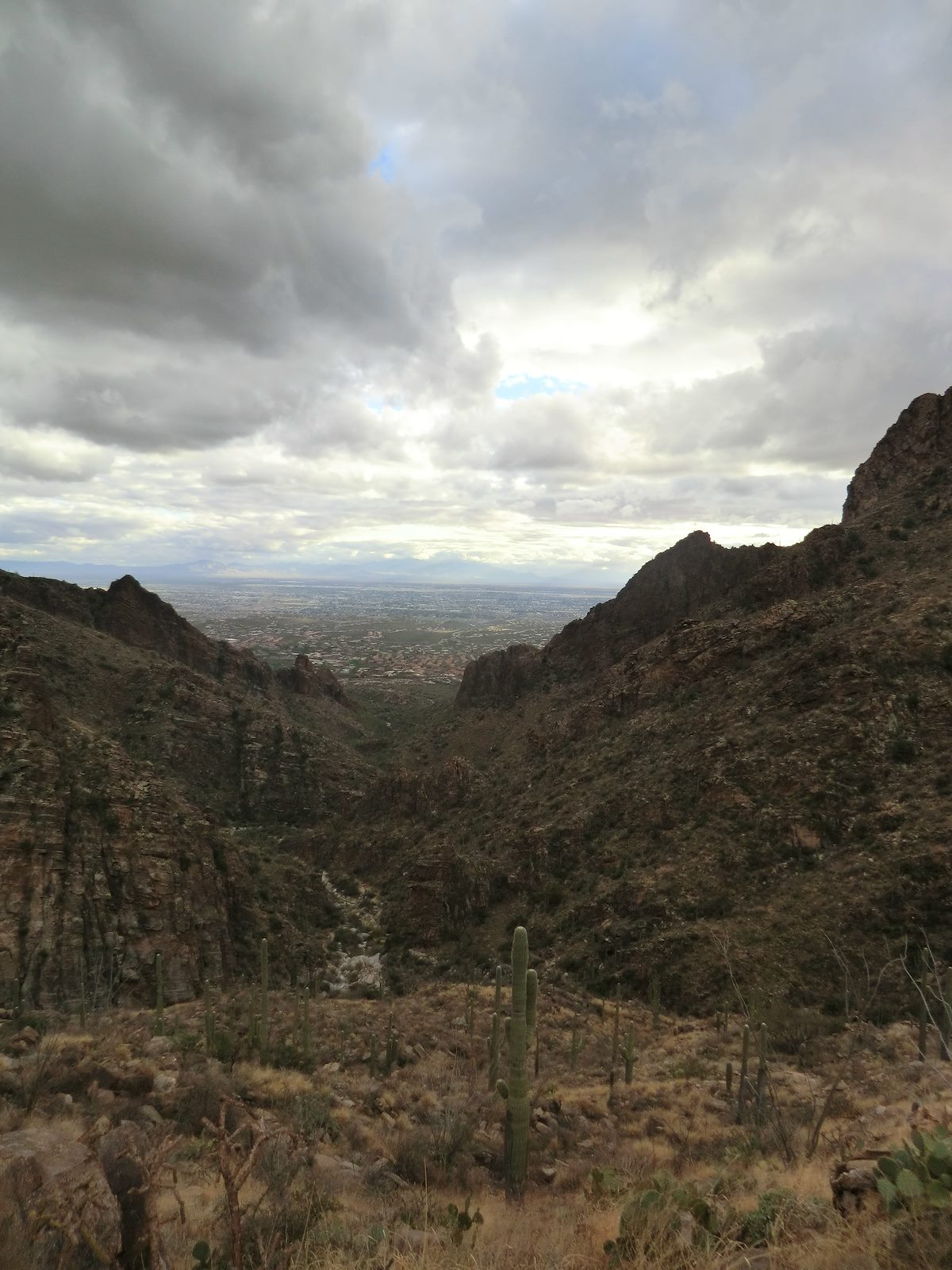 2013 January Looking down Ventana Canyon into Tucson