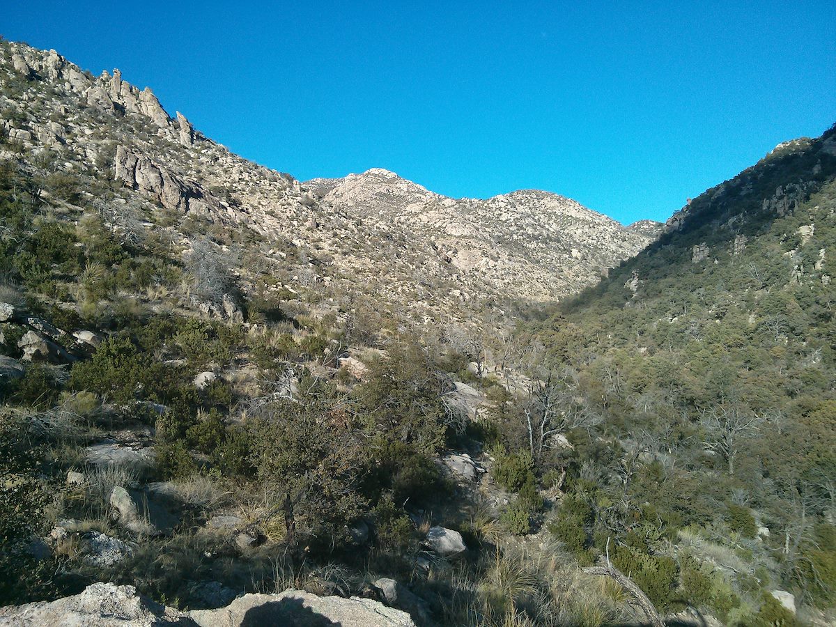 2013 January Looking up Molino Canyon