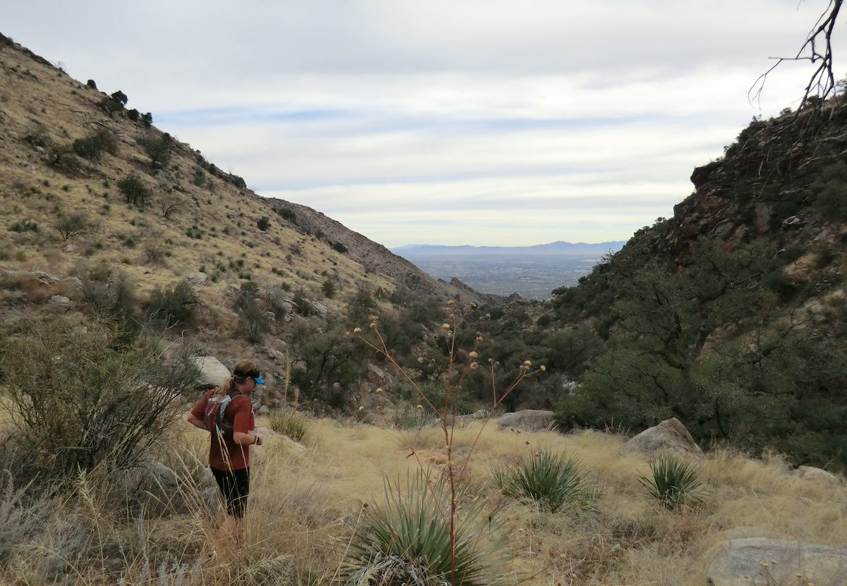 2013 January Running Down Ventana Canyon