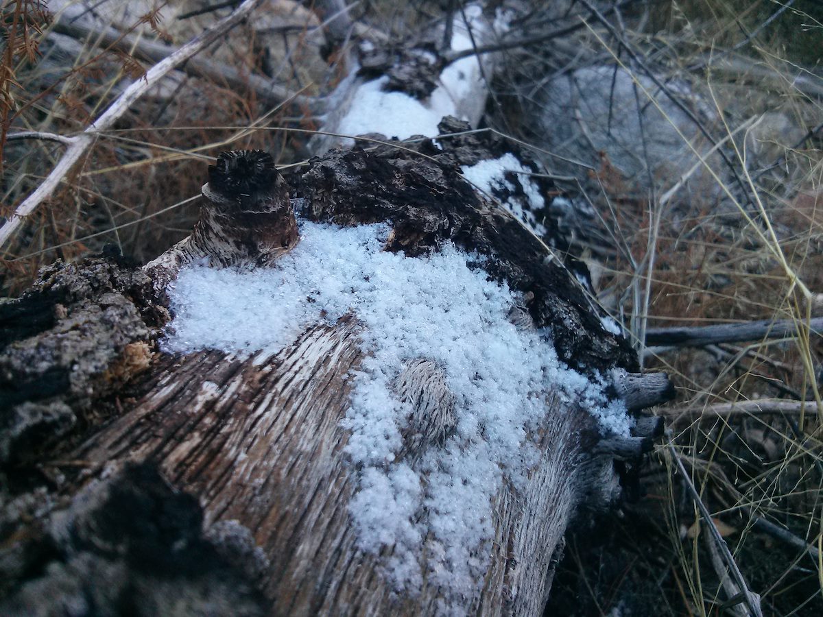 2013 January The only hint of snow I could find