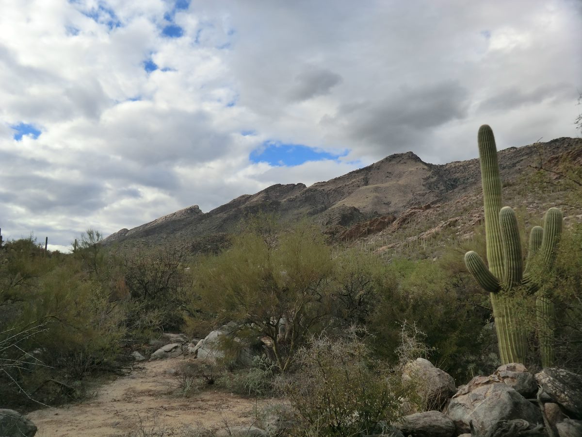 2013 January Top of the Pontatoc Cliffs, Point 5391, Point 5763 from Ven