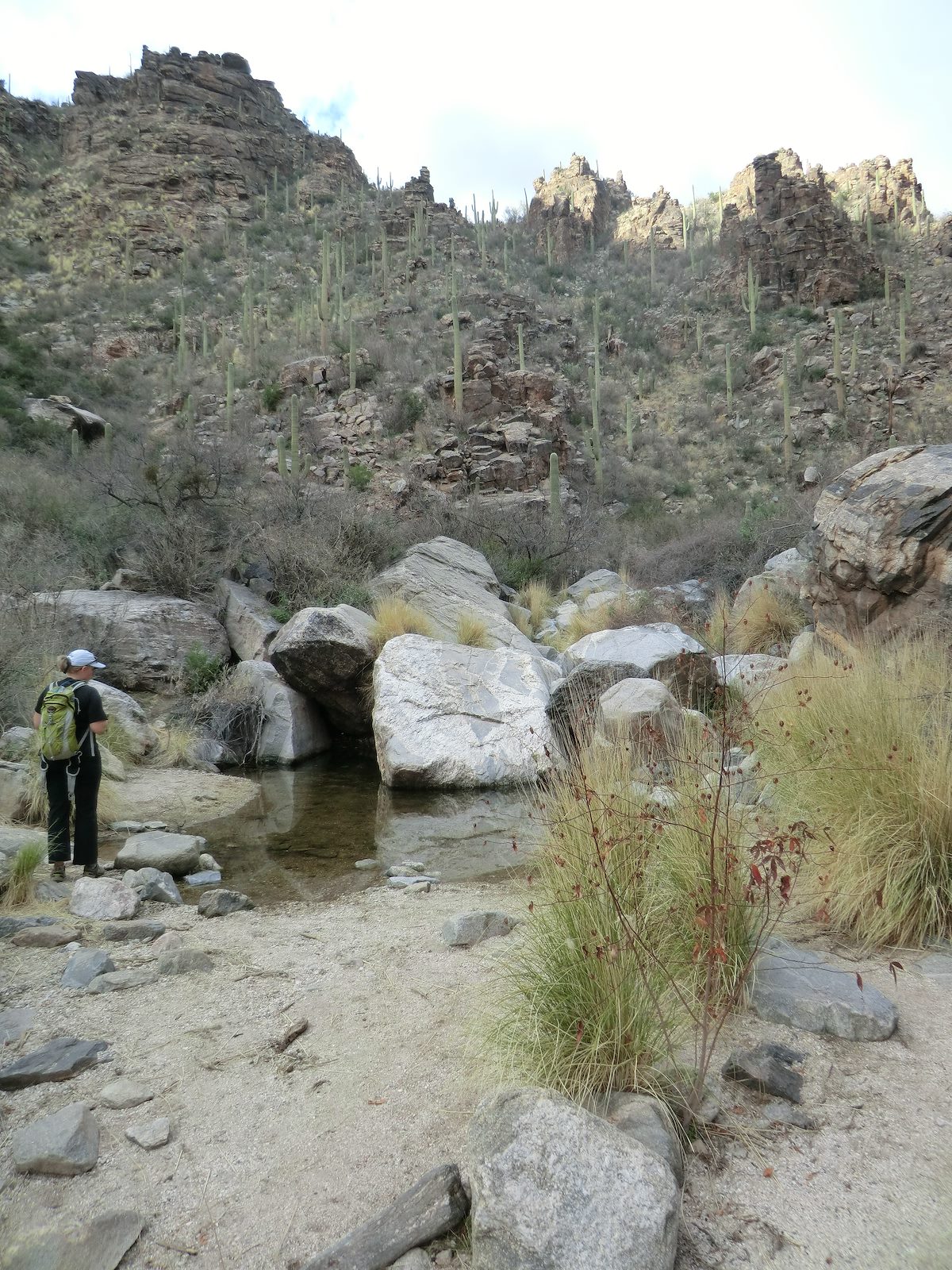 2013 January Water along the Ventana Canyon Trail