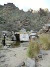 2013 January Water along the Ventana Canyon Trail