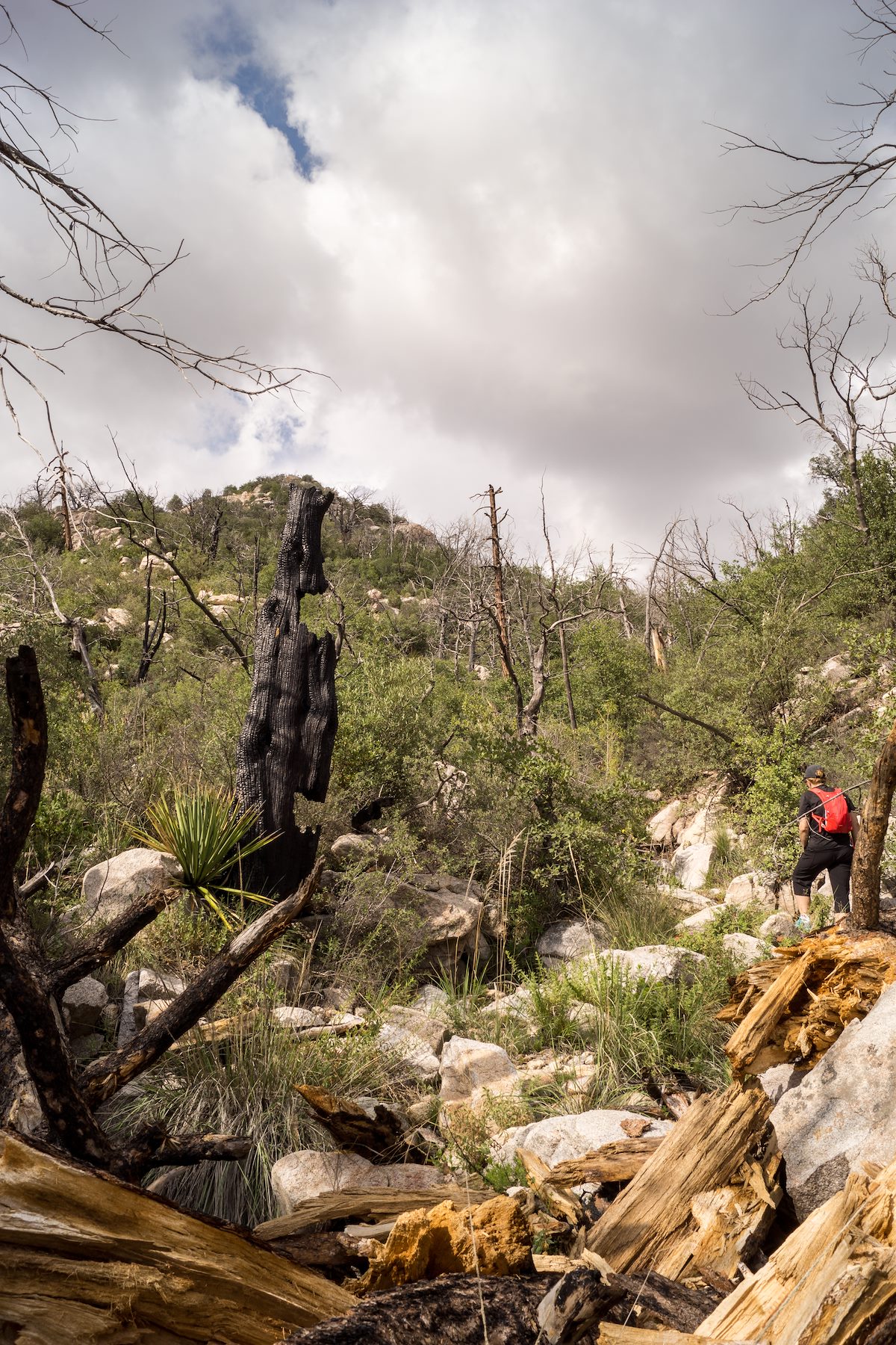 2013 July Drainage back to the Palisade Trail