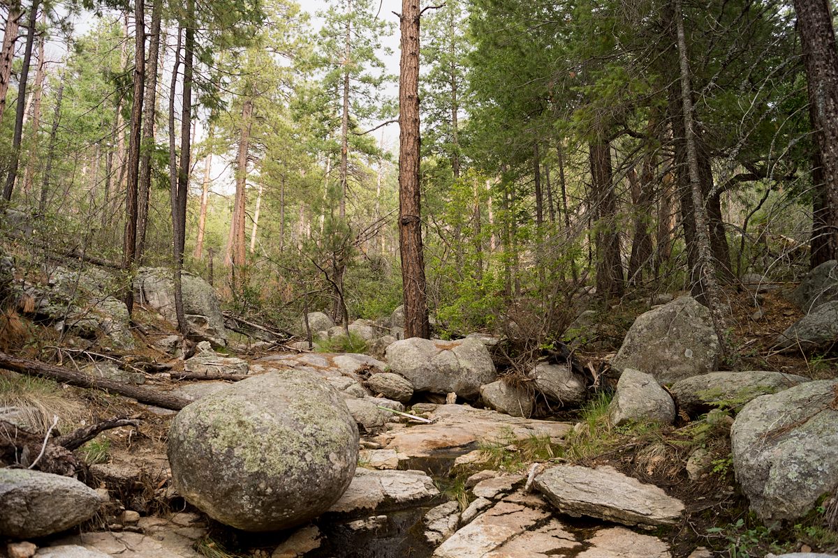 2013 July Sycamore Canyon