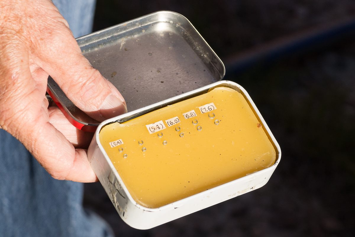 2013 June Hummingbird Bands