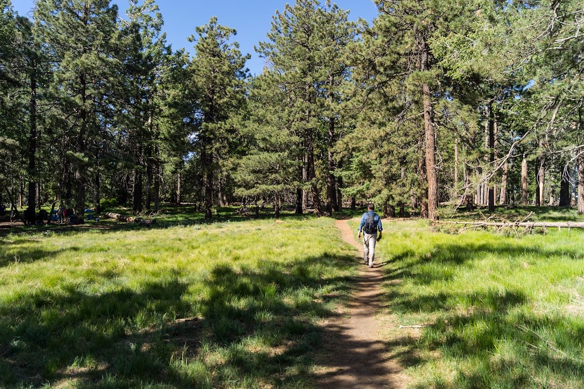 2013 June Lance on the Meadow Trail